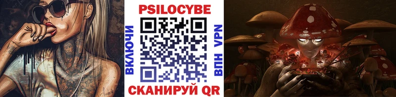 Псилоцибиновые грибы мицелий  Абдулино 